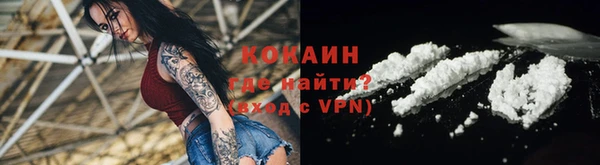 винт Абаза
