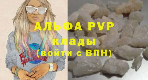 винт Абаза