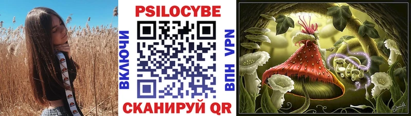 omg маркетплейс  Нижняя Тура  Псилоцибиновые грибы Psilocybine cubensis  купить наркоту 